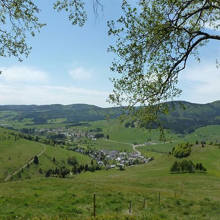 Apartmán Wohnpark Schwarzwaldblick Bernau Exteriér fotografie