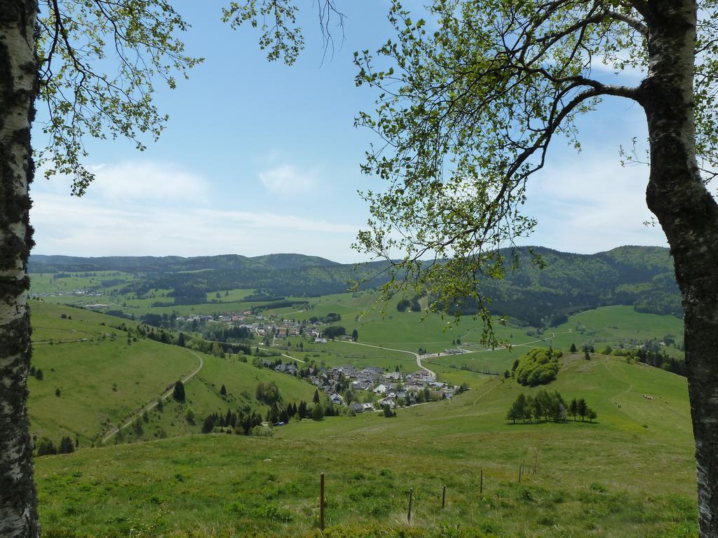 Apartmán Wohnpark Schwarzwaldblick Bernau Exteriér fotografie