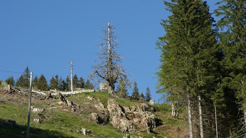 Apartmán Wohnpark Schwarzwaldblick Bernau Pokoj fotografie
